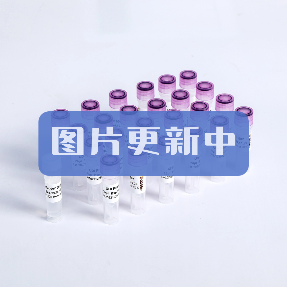 PicoGreen dsDNA定量试剂 P6021