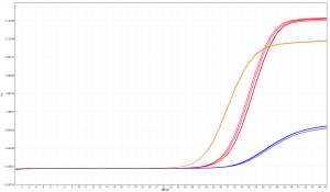 产品推荐丨一款好用稳定的PCR多重酶