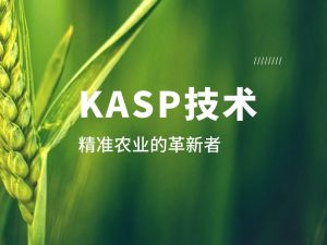 技术分享丨KASP：精准农业的革新者