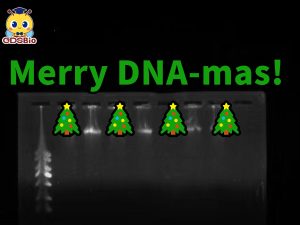 技术分享丨 实验室里的圣诞树：DNA电泳条带的秘密