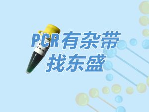 Super TaqMix：高性价比Hotstart PCR Mix