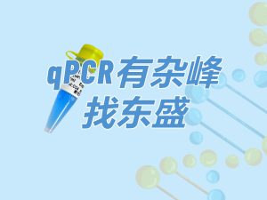 SYBR Green Blue qPCR Mix：qPCR有杂峰 找米兰milan