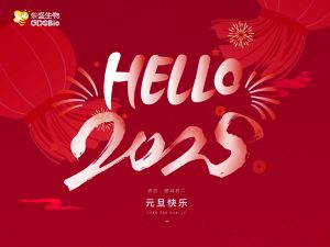 辞旧迎新，共启2025年新征程