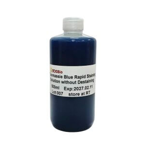 考马斯亮蓝快速免脱染色液