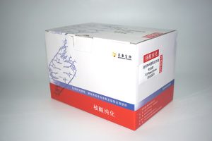 通用RNA提取试剂盒（离心柱型）（R1051）