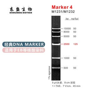 Marker 4 DNA Marker M1231/M1232