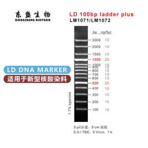 LD 100bp Ladder Plus DNA Marker LM1071/LM1072