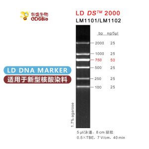 LD DS2000 DNA Marker