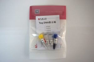Taq DNA Polymerase (P1011-P1012-P1013-P1014-P1015)