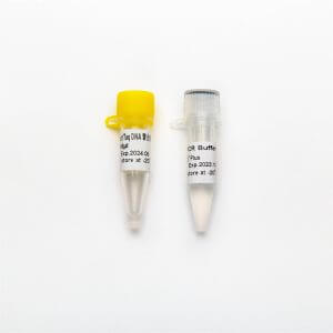 qPCR Hotstart Taq Polymerase