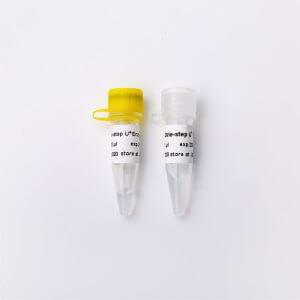 One-step Probe RT-qPCR Kit V3 含热敏UDG酶V5011 V5011-2