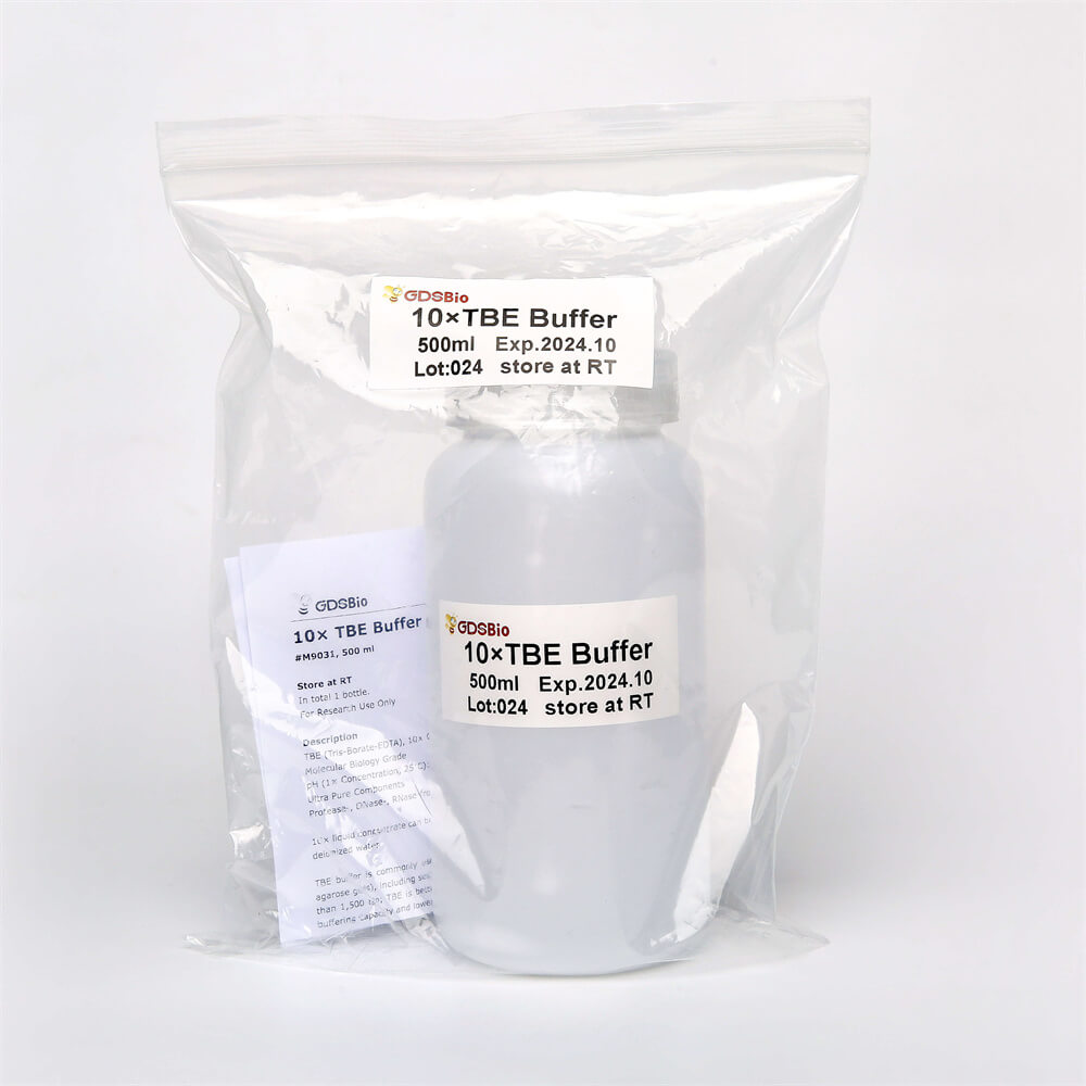 10×TBE缓冲液(M9031)