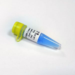 SYBR Green Blue qPCR Mix  (Universal ROX+)