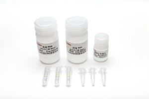 植物DNA提取试剂盒（离心柱型）