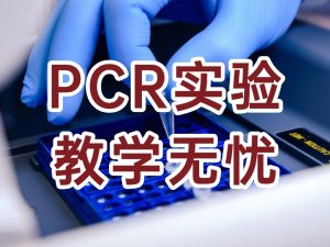 PCR开源教学试剂盒 - 开启分子生物学教学新体验