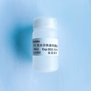 10X免冰浴快速转膜液 D1015