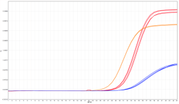 0b17d475fea5febb4088d3be7fb04990