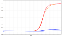 253adff649dbf9d500f942d78180b48a