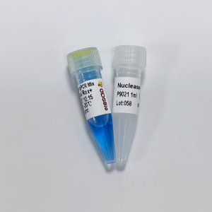 Fast SYBR Green Blue qPCR Mix (Universal ROX+)